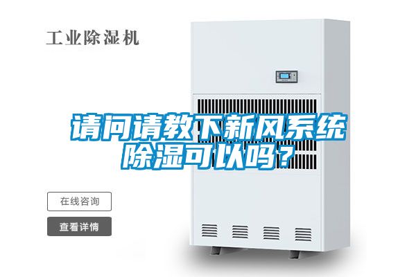 請問請教下新風係統精品国产香蕉可以嗎？